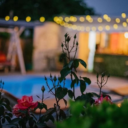 Vila Primavera Vama Veche Buitenkant foto